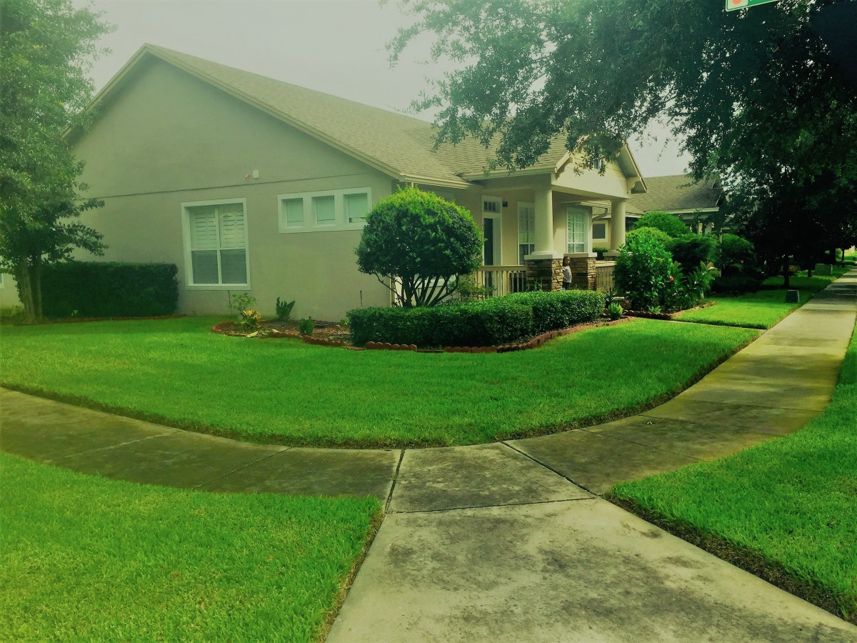 A suburban house with a well-maintained lawn and neatly trimmed bushes along the walkway.