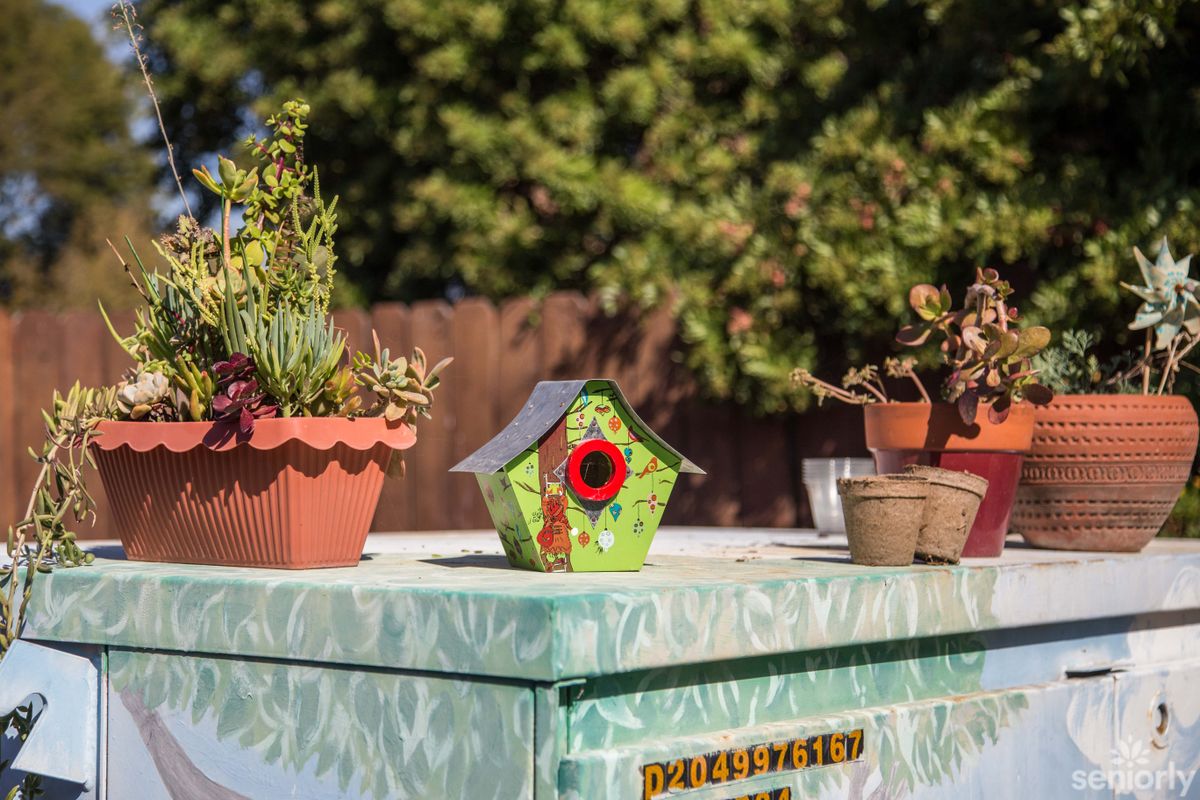 A colorful birdhouse sits alongside potted plants on a garden table.