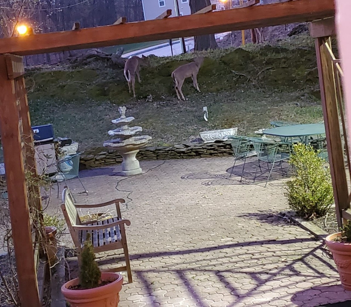 A nighttime scene of a backyard with deer grazing near the patio.