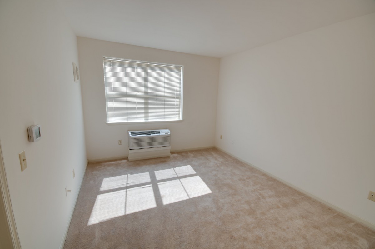 A bright, empty room with a carpeted floor and a large window allowing natural light to pour in.