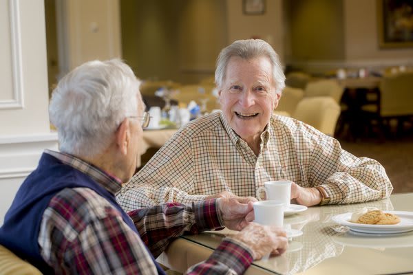 Two elderly men enjoying a conversation over coffee.