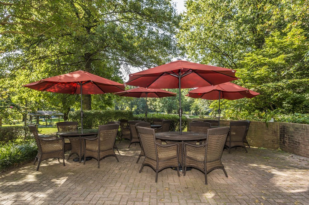 A peaceful outdoor patio area with tables, chairs, and red umbrellas surrounded by trees.