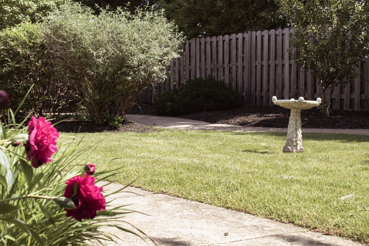 A tranquil garden scene with a birdbath, vibrant flowers, and a wooden fence.