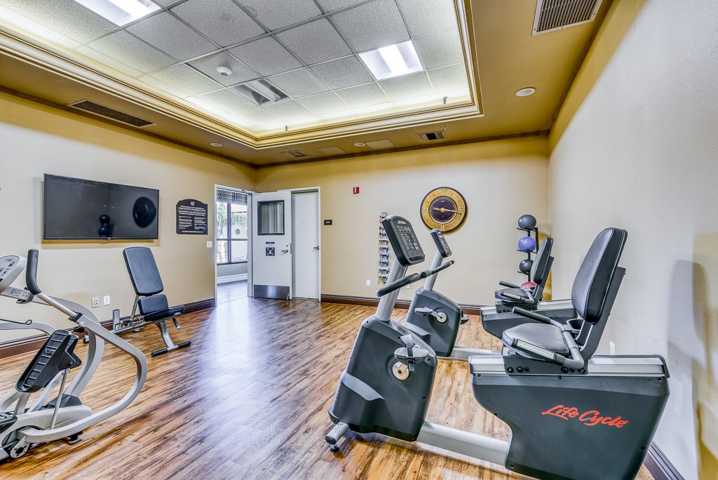 A modern gym room featuring various exercise equipment including stationary bikes and treadmills.