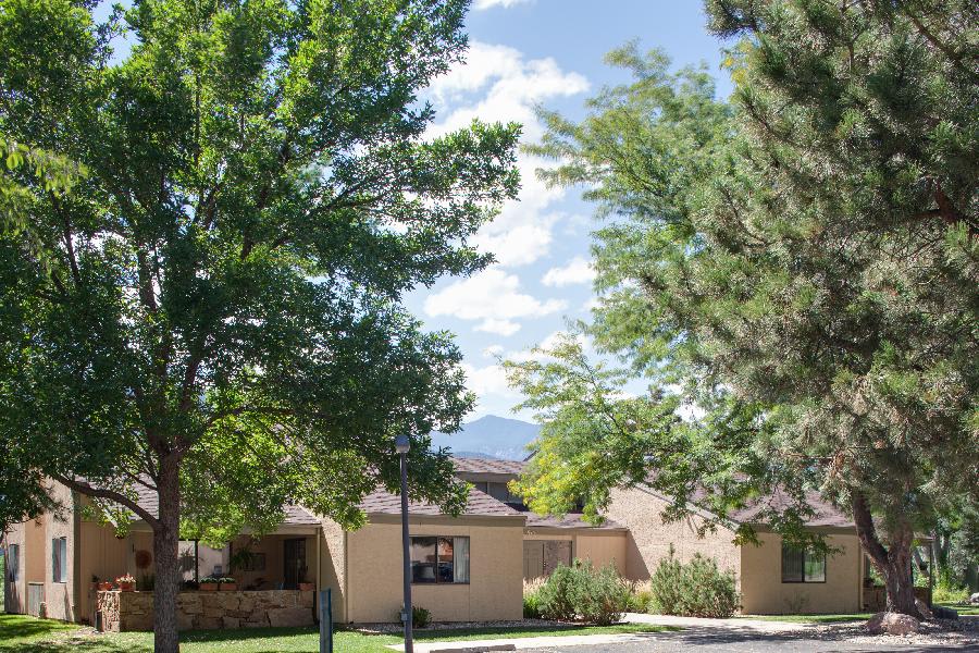 A suburban street lined with trees and houses under a blue sky.