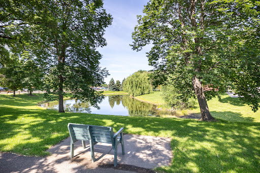 A serene park view featuring a bench by a peaceful pond surrounded by lush greenery.