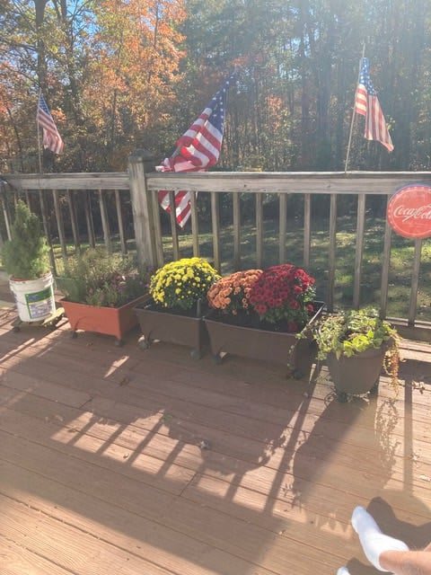 A sunlit patio featuring potted flowers and American flags, creating a vibrant outdoor setting.