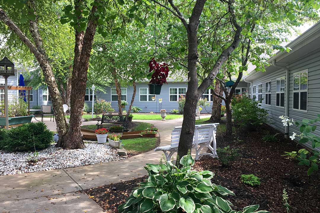 A peaceful garden setting with trees, plants, and benches along a walkway.