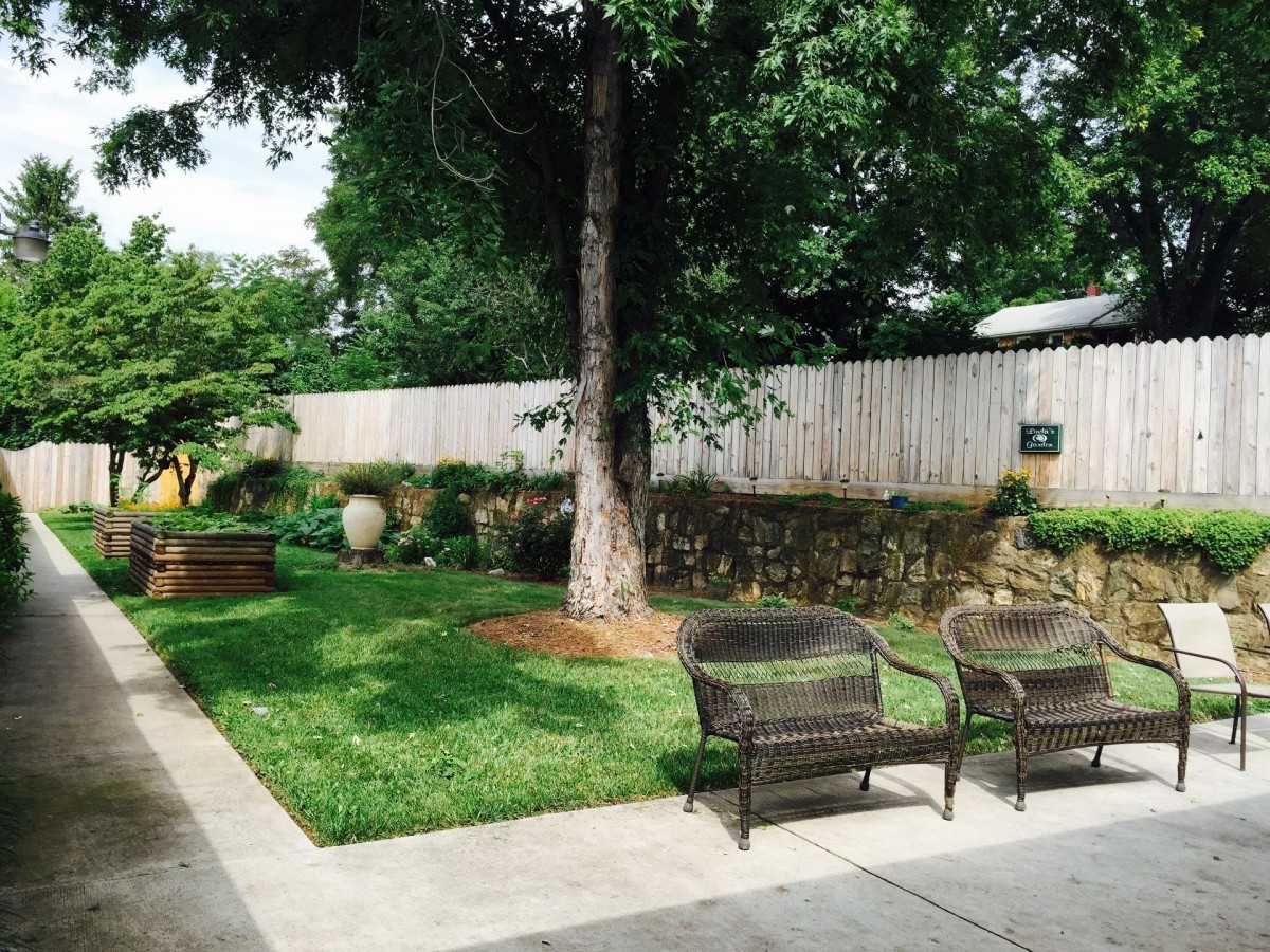 A tranquil garden setting with benches under a tree.