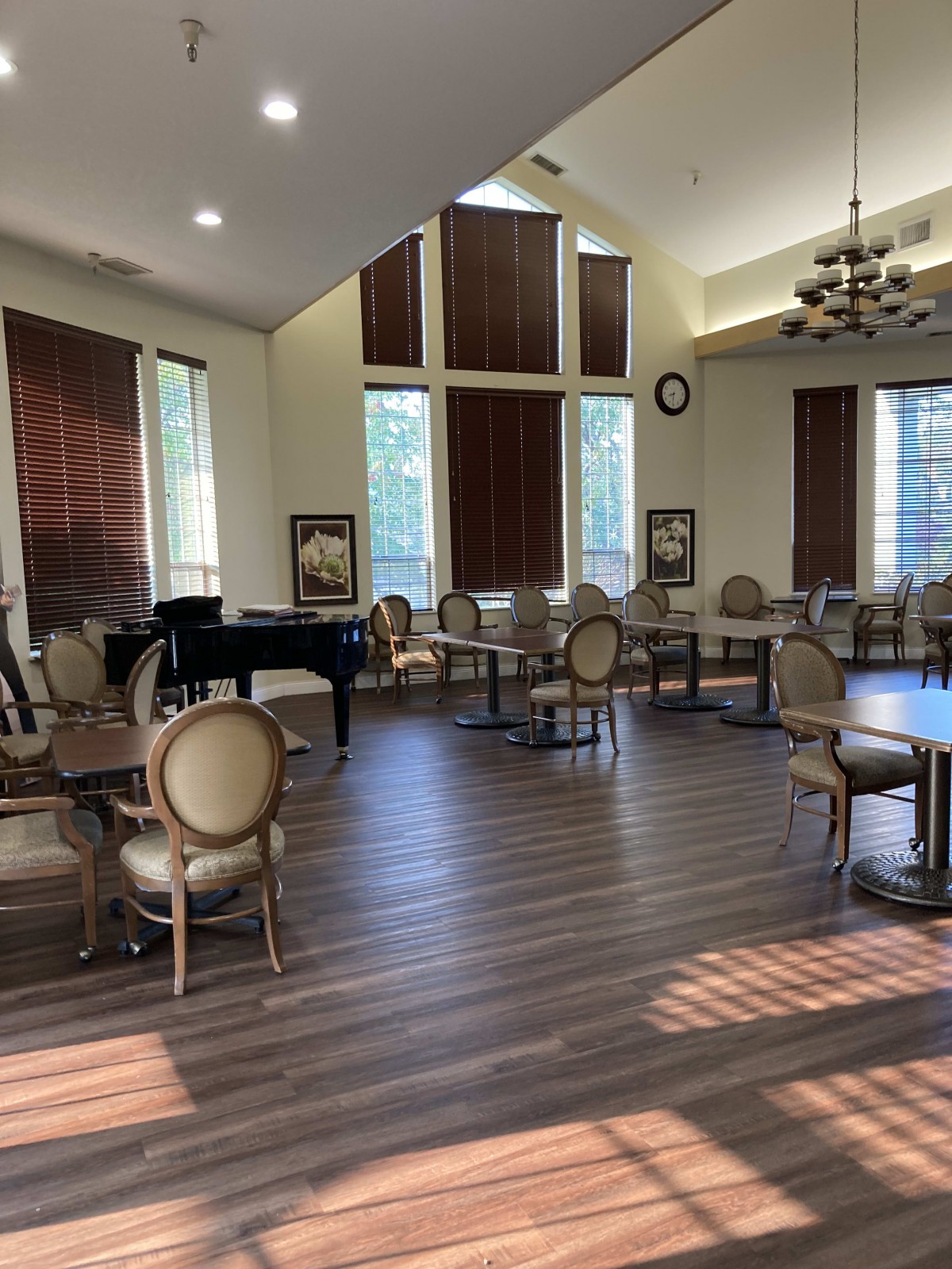 Sunlit room with a grand piano, chairs, and tables.