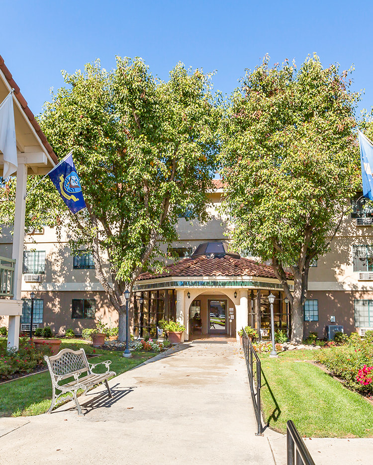 A welcoming building entrance framed by trees and flags, with benches lining the pathway.
