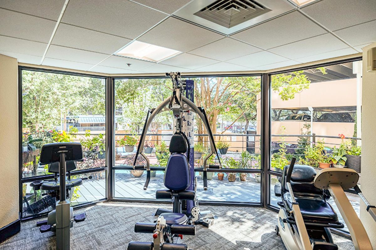 A gym equipped with exercise machines and ample natural light coming through large windows.