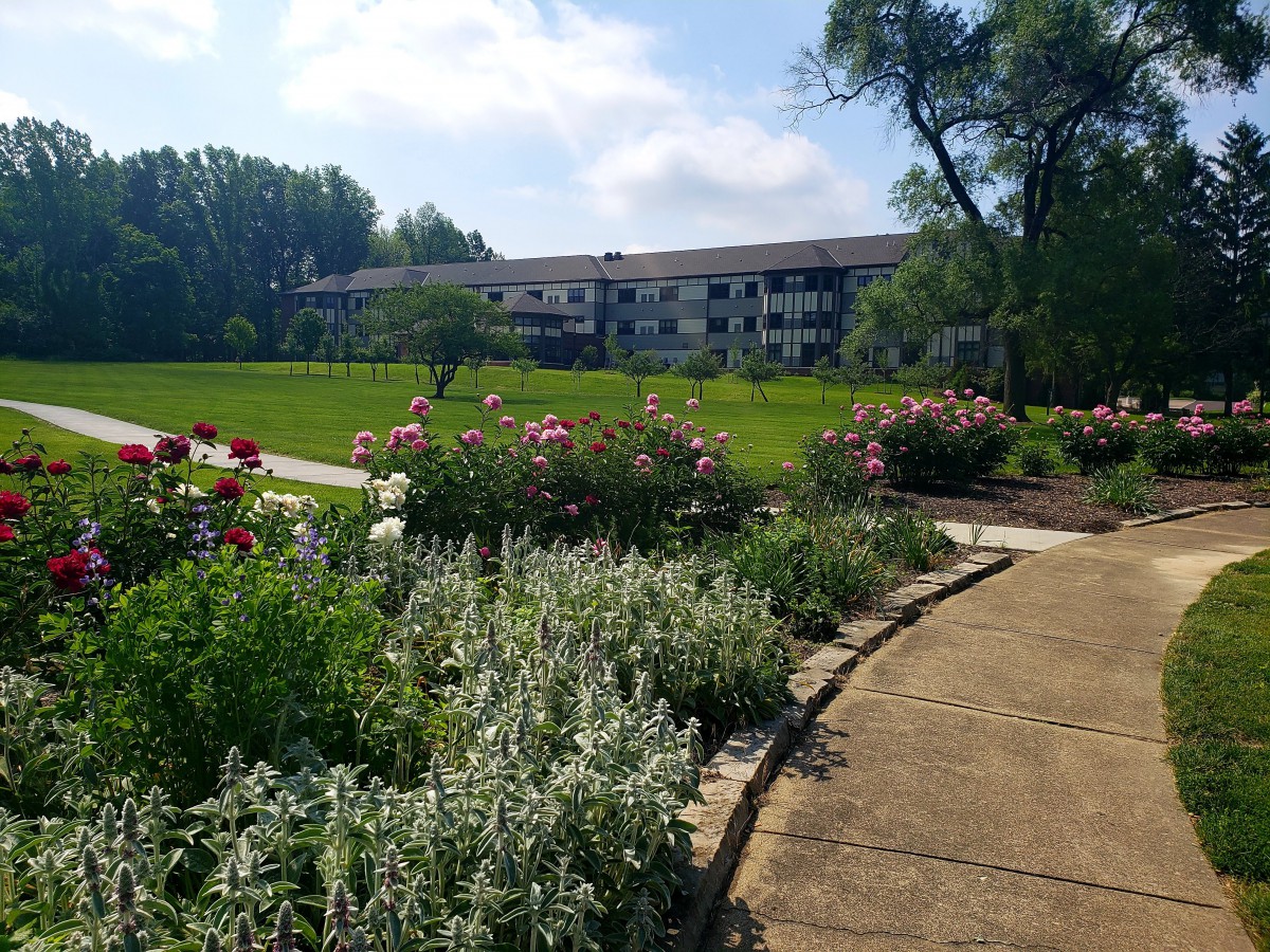 A scenic garden pathway lined with blooming flowers, leading to a distant building under a bright blue sky.