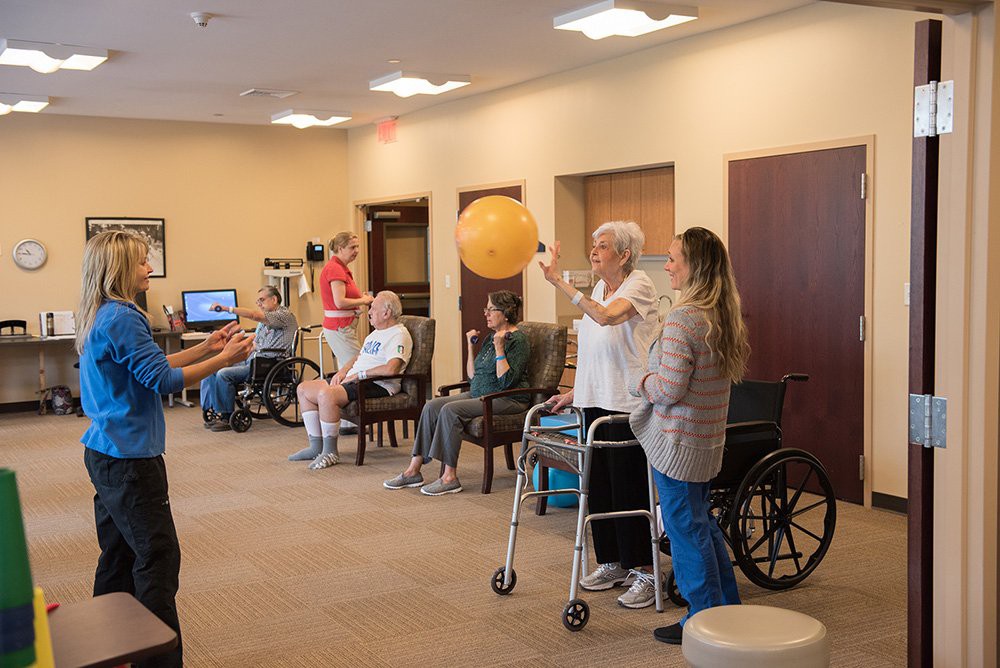 A group of elderly individuals participating in a physical therapy session using an exercise ball.