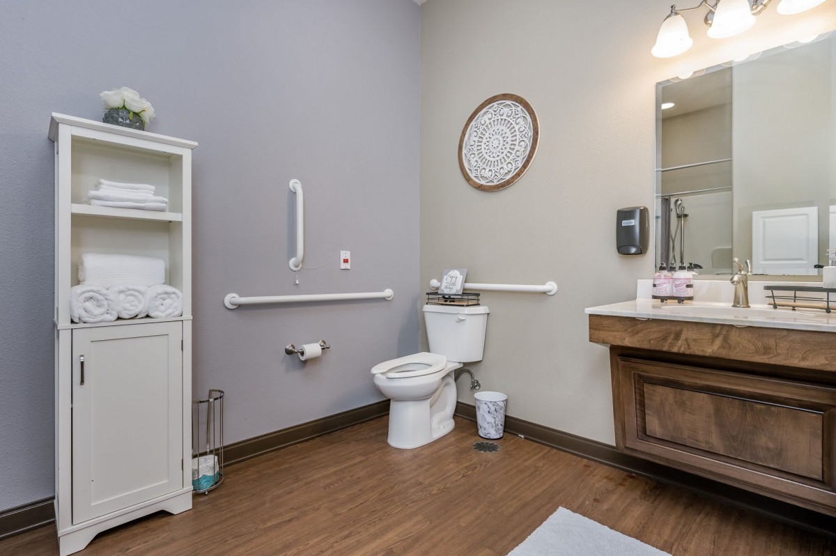 A modern bathroom with a toilet, sink, and safety grab bars.