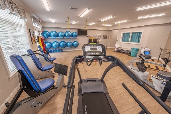 A well-equipped gym with treadmills, exercise bikes, and fitness balls.