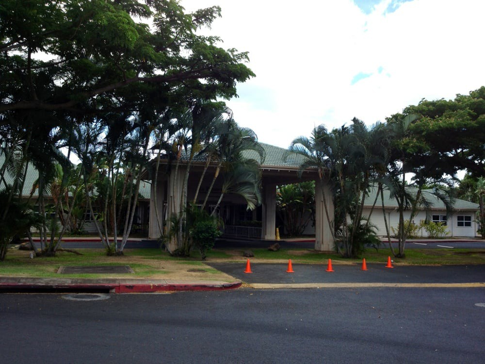 A building with a driveway lined by palm trees and safety cones.