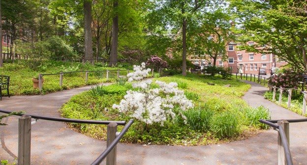 A serene garden with blooming flowers and lush greenery.