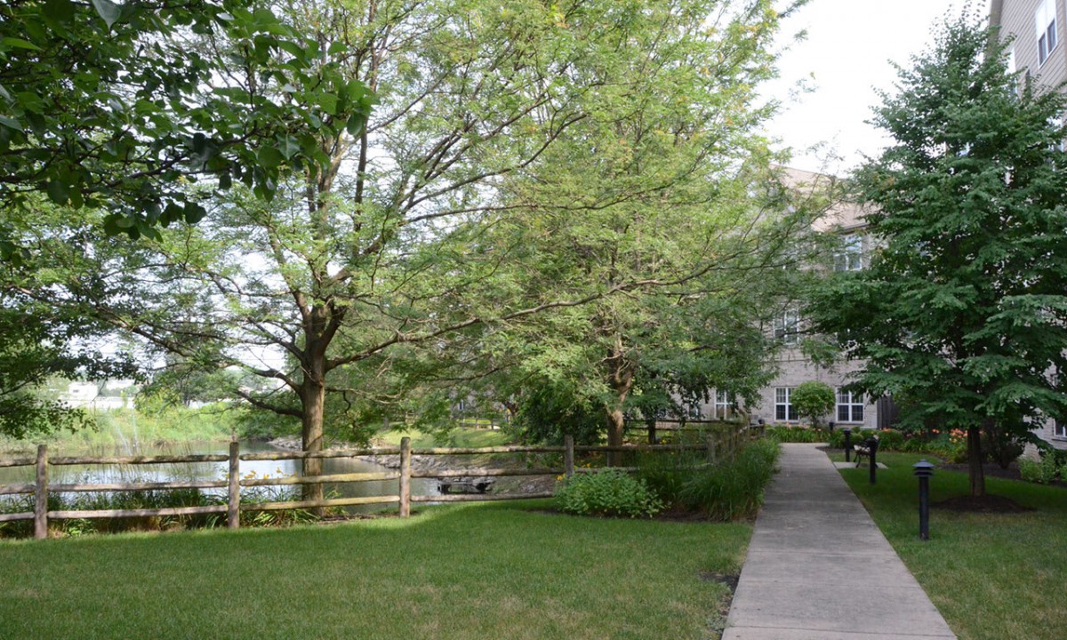 A peaceful outdoor scene with trees, a grassy area, and a building visible along a sidewalk.