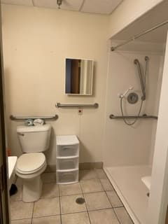 A bathroom with accessibility features, including handrails around the shower and toilet area.