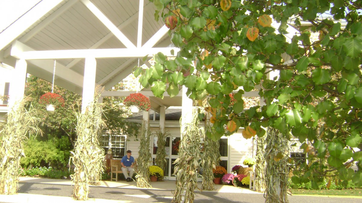 An inviting entrance decorated with autumn leaves and pumpkins.