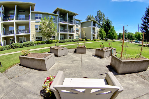 A serene outdoor space with benches and planters, surrounded by a well-maintained apartment complex.