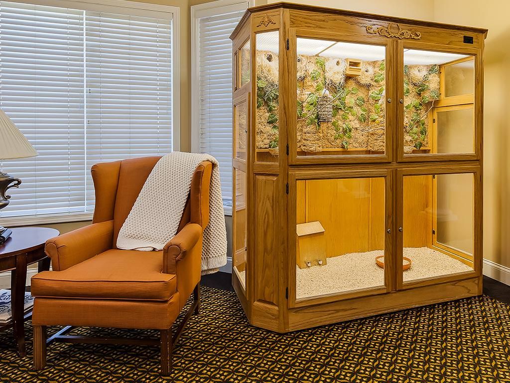 An elegant interior featuring a cozy armchair and a decorative wooden cabinet with display items.