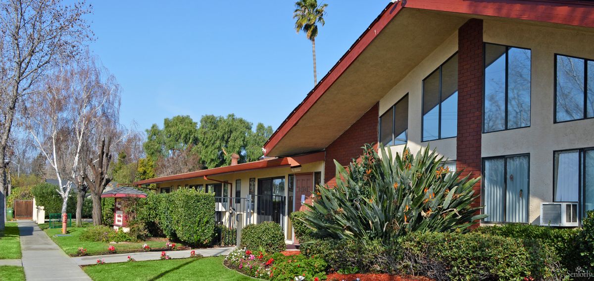A mid-century modern style house with well-maintained landscaping and a palm tree, set against a clear blue sky.
