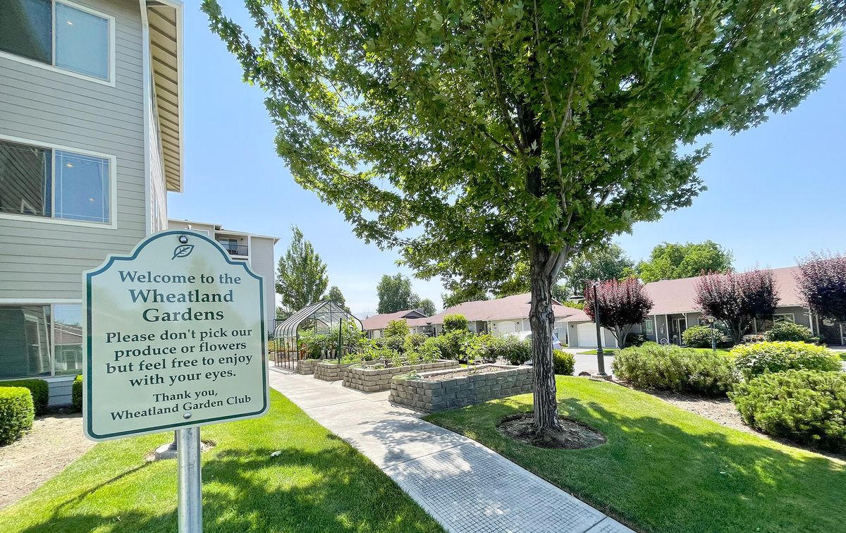 A well-maintained community garden featuring raised beds, surrounded by lush greenery and a clear pathway.
