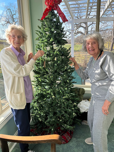 Two women joyfully decorating a Christmas tree together.
