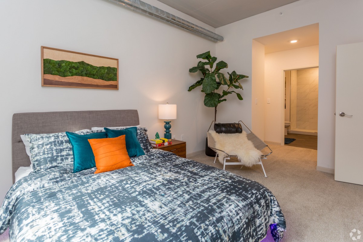 A modern bedroom with vibrant pillows, a cozy chair, and a potted plant near the bed.