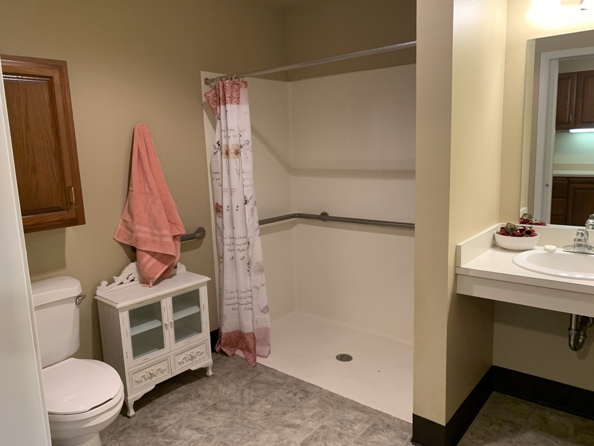 A bathroom with an accessible shower area, a curtain, and a small cabinet by the toilet.