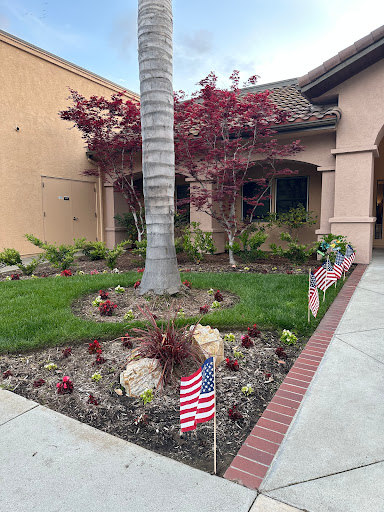 A beautifully landscaped garden featuring a palm tree and decorative flags.