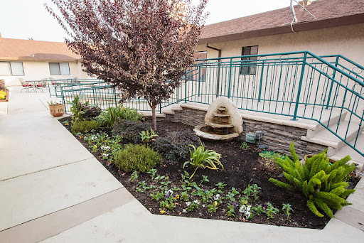 A serene garden featuring a small fountain and a variety of plants, complemented by a tree.