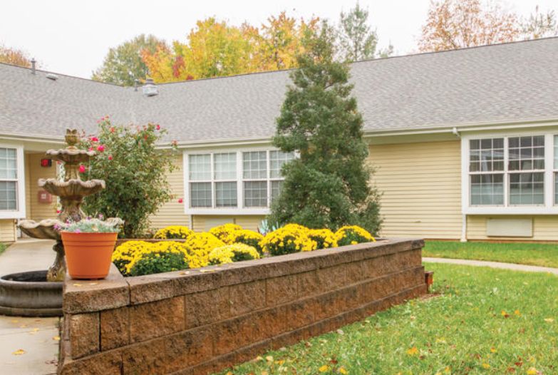 A cozy house with a landscaped yard featuring bright yellow flowers and evergreen shrubs on an autumn day.