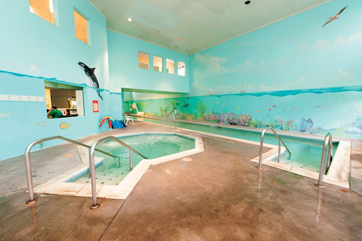 A cozy indoor pool and hot tub with aquatic-themed murals on the walls.