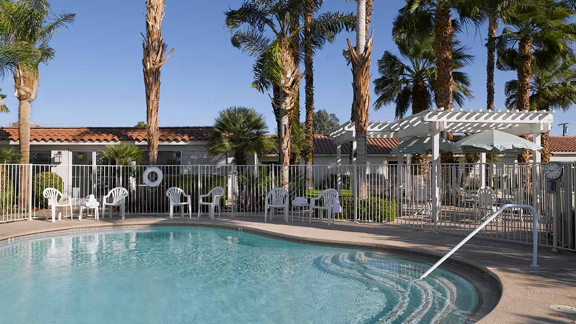 A serene outdoor swimming pool area surrounded by palm trees and lounging chairs.