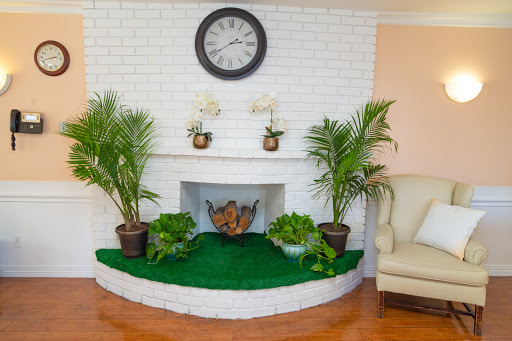 A stylish and serene fireplace area enhanced with decorative plants and a wall clock.