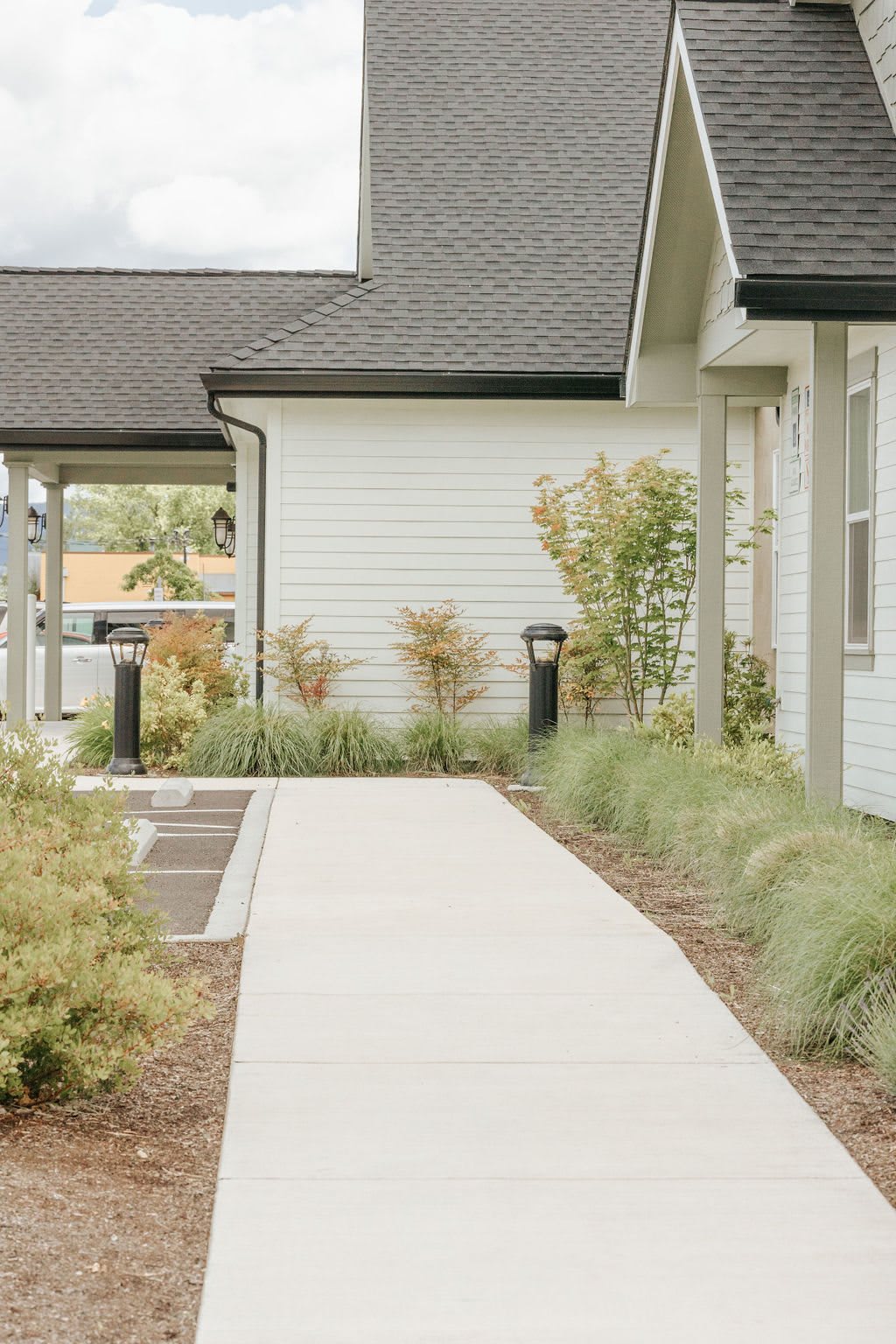 A well-maintained pathway leading to a house, surrounded by neatly arranged bushes and plants.