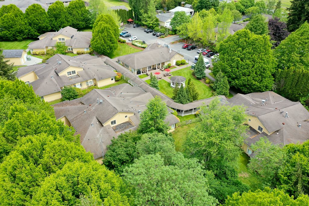 Aerial view of residential buildings surrounded by lush greenery.