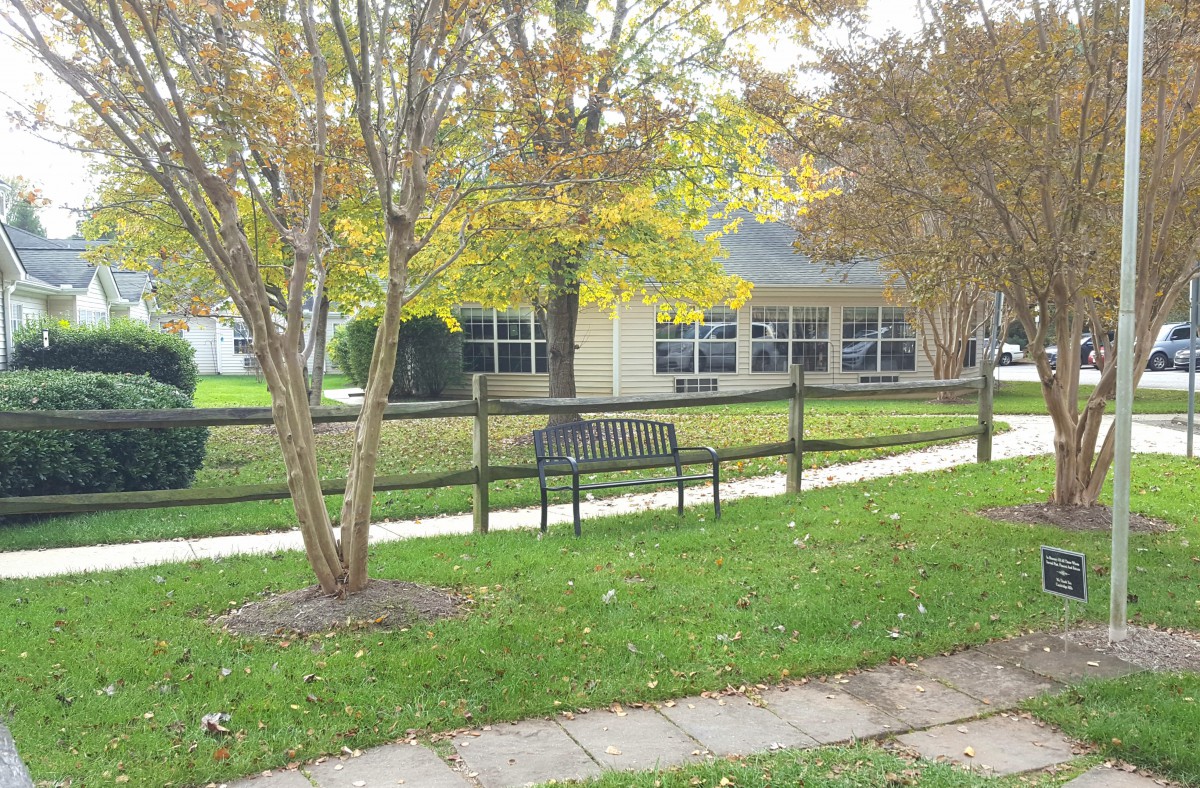 A peaceful park scene with a bench, trees, and a building in the background.