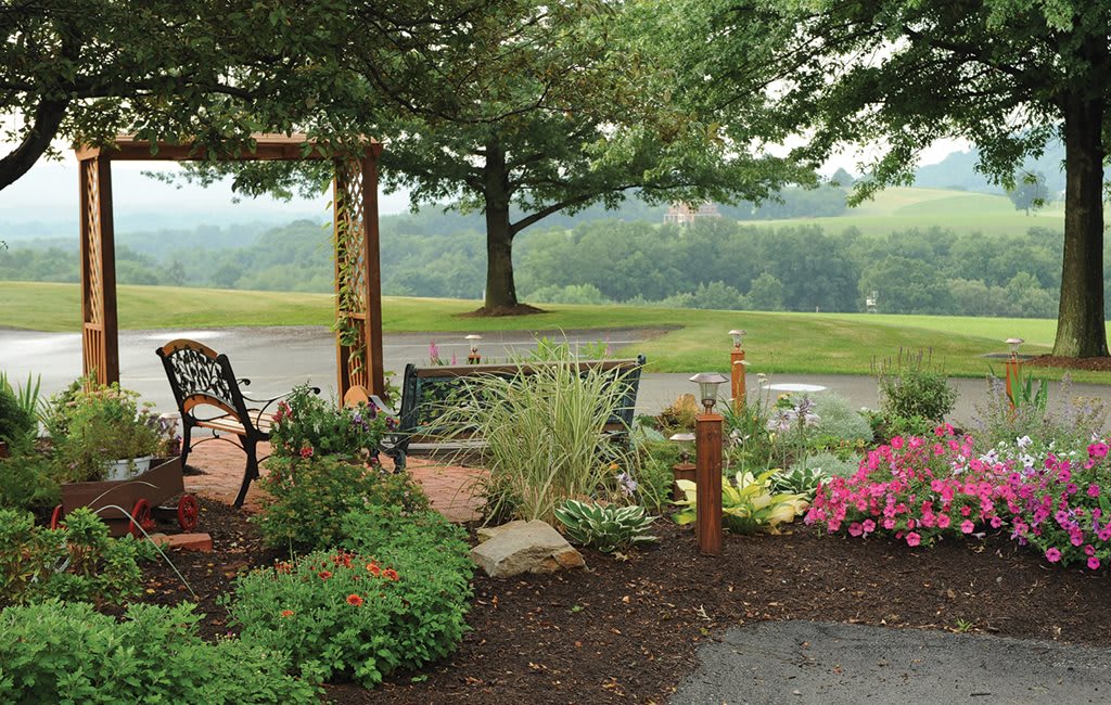 A serene garden scene with a wooden bench and colorful flowers under a large tree.