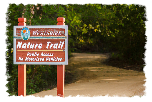 Westshire Village at the Lake