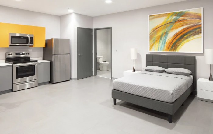 A modern and minimalist apartment interior featuring a bedroom with a grey color scheme, equipped with a kitchenette and a private bathroom.