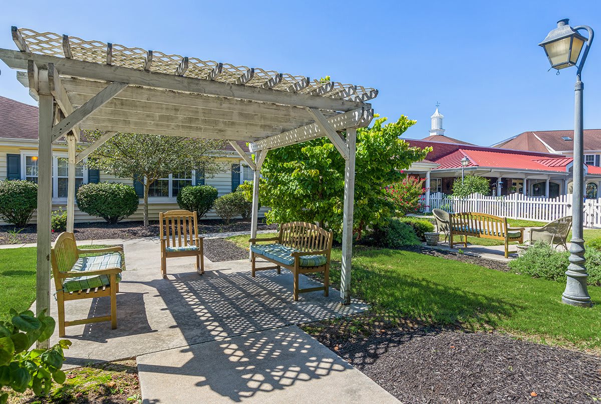 A peaceful garden with a pergola and outdoor seating.