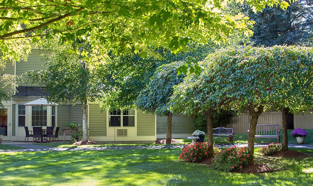 A serene backyard garden with lush green trees and a well-maintained lawn basking in sunlight.