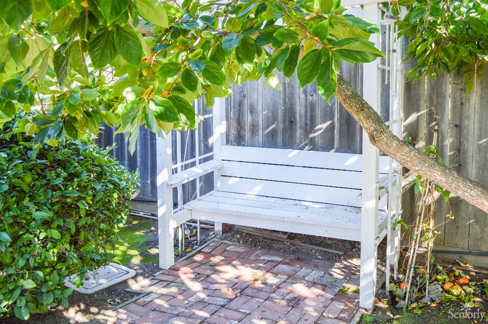 A peaceful garden scene featuring a white bench under a tree, surrounded by greenery and set on a brick path.