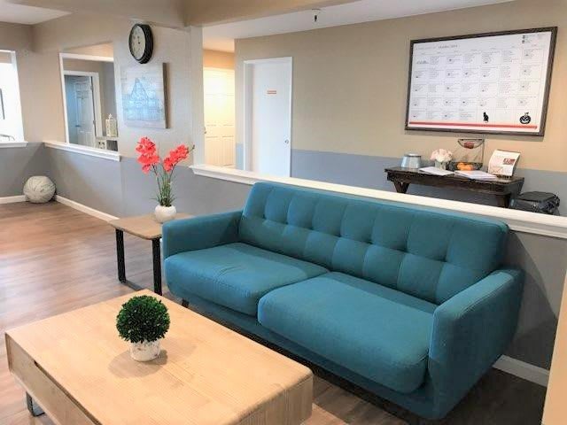 A cozy living room with a blue sofa and decorative elements, creating a modern and inviting atmosphere.