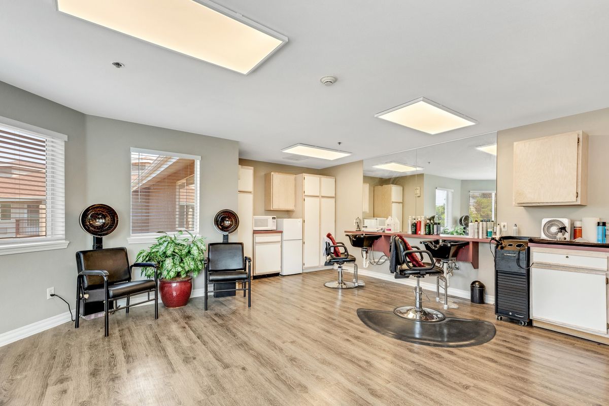 A modern hair salon interior with chairs, mirrors, and plants.