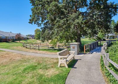 A scenic view of a park with a bench, pathway, and bridge under a large tree.